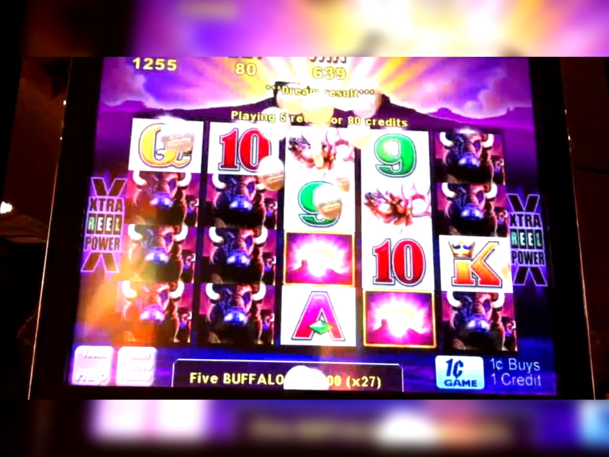 55 FREE Spins at Miamidice Casino