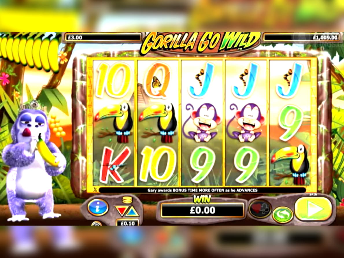 495% Match bonus at Dubai Casino Online
