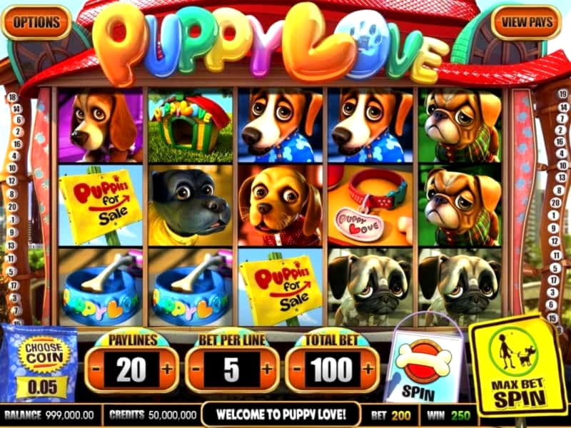 205 Free Spins Casino at Royal Panda Casino