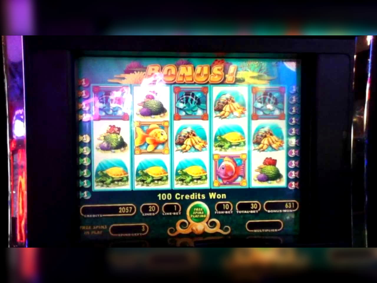 225 free spins no deposit casino at Red Bet Casino