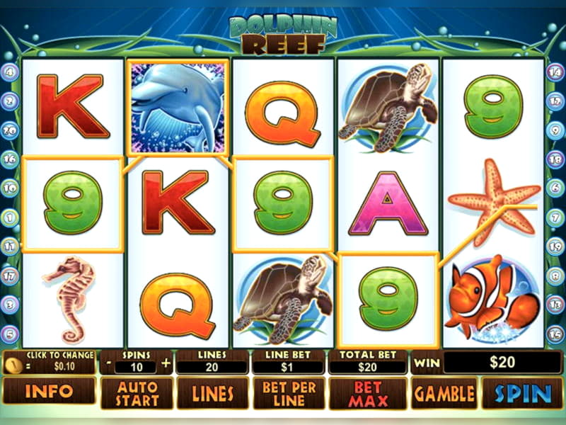 $565 Casino tournaments freeroll at Miamidice Casino