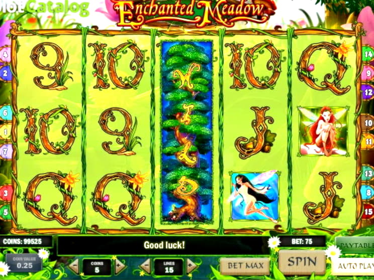 $335 no deposit at Miamidice Casino
