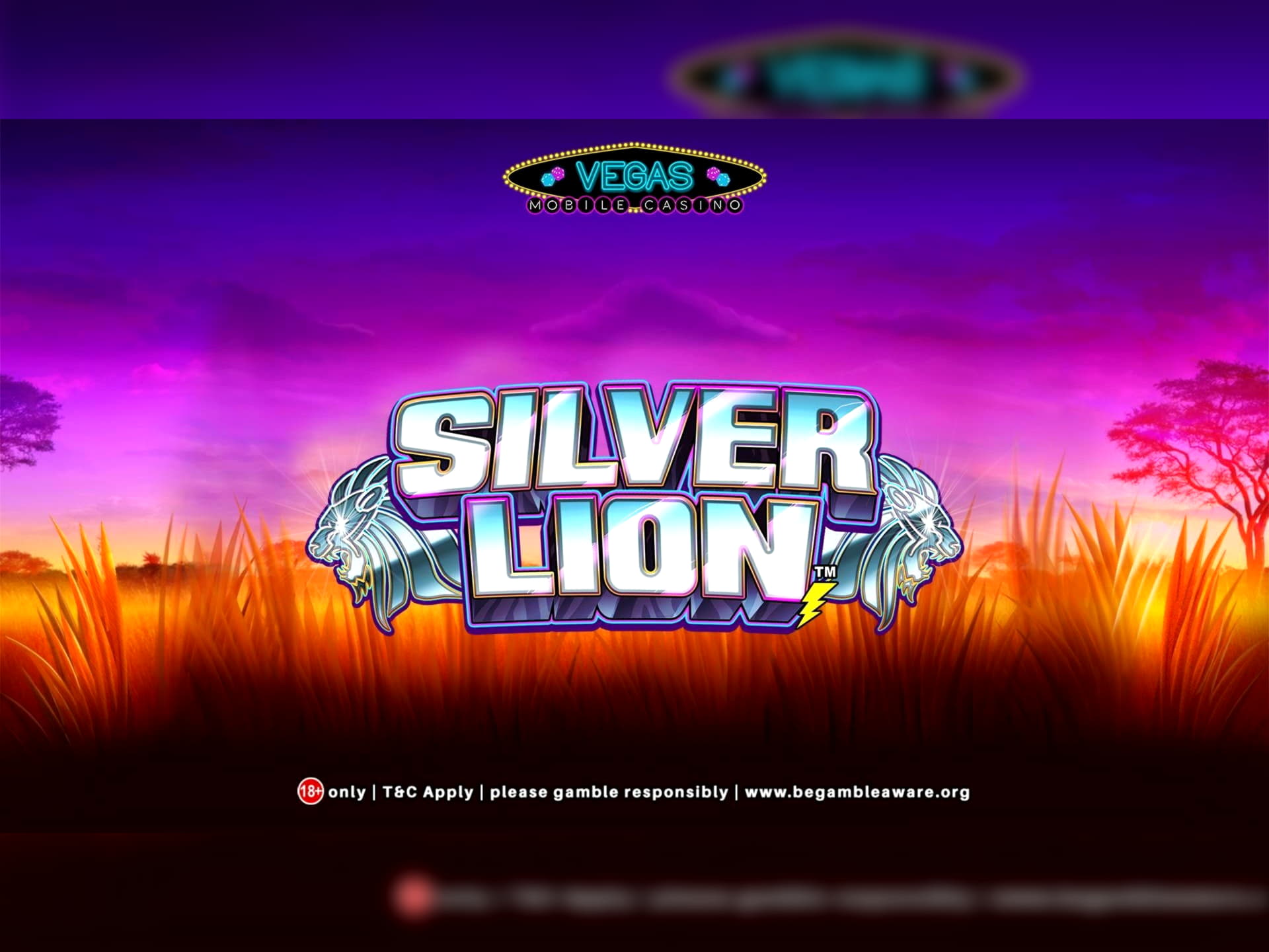 210 Free spins at Dubai Casino Online