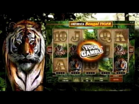 720% Best signup bonus casino at Challenge Casino