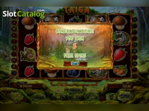 €245 Free Casino Ticket at Mega Casino