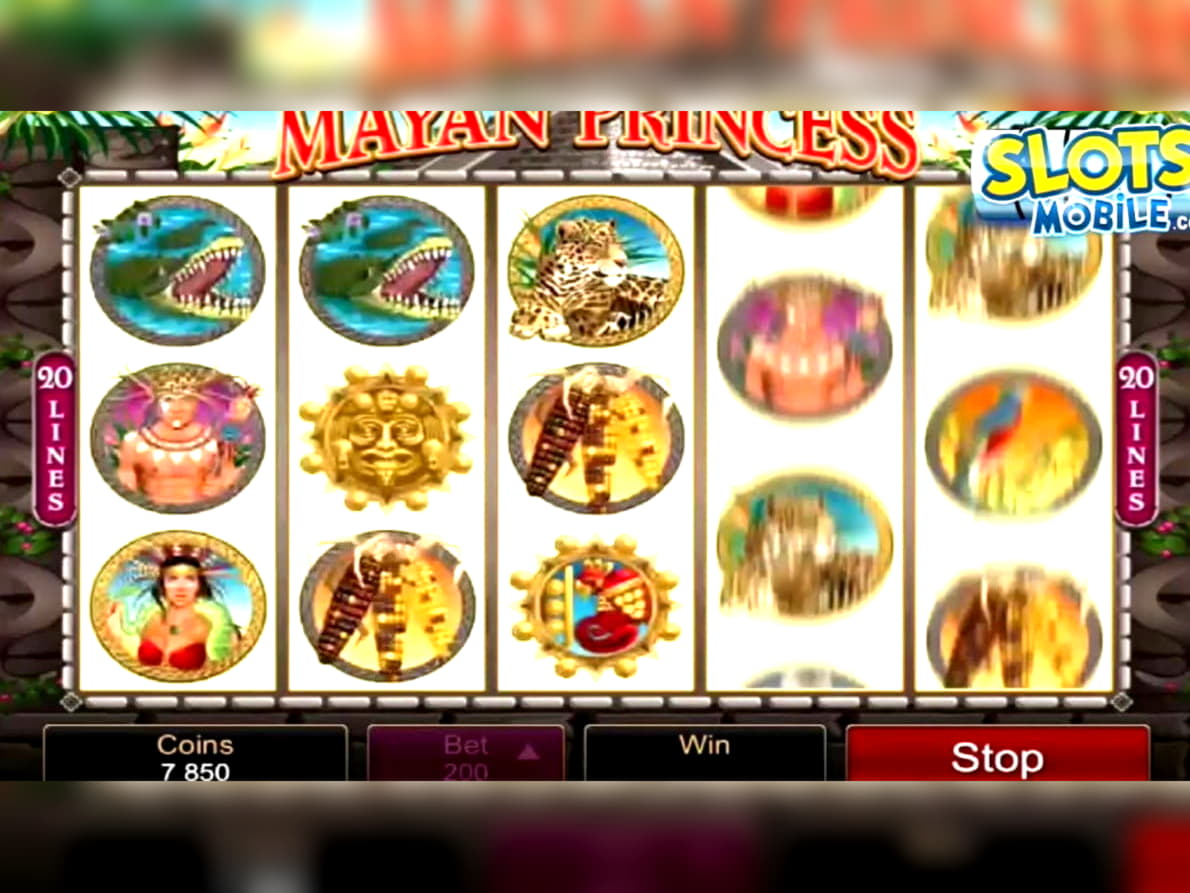 €445 Free Casino Tournament at Casino Share