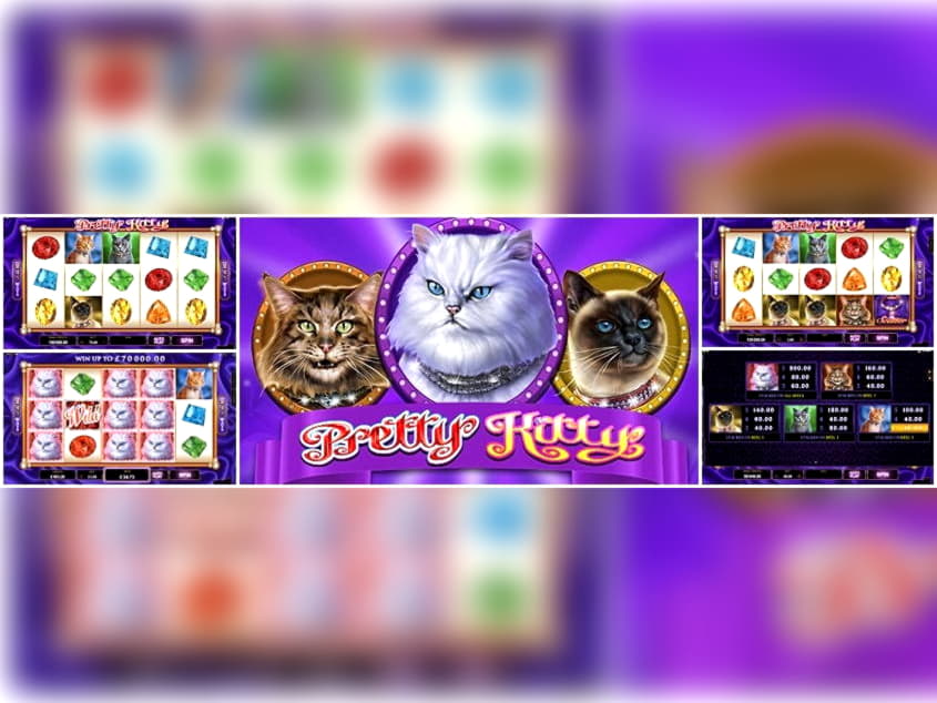 $655 Online Casino Tournament at BranGo Casino