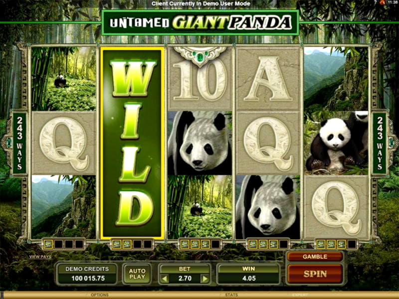 €175 Free Cash at Casino Share