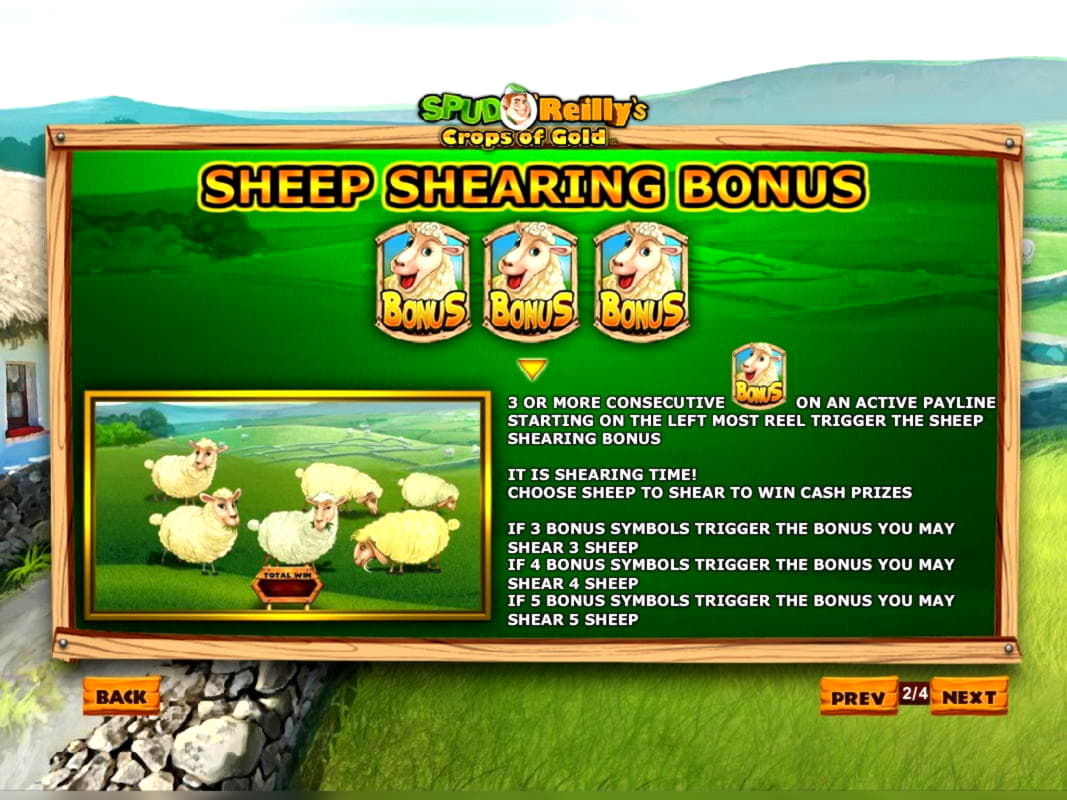 905% Signup casino bonus at bWin Casino
