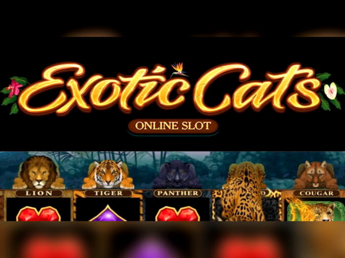 ﻿$165 Free Casino Tournament at Zet Casino