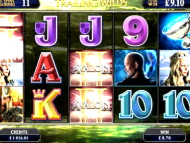 $960 Casino tournaments freeroll at Miamidice Casino