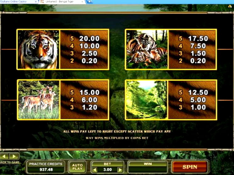 €310 Casino Tournament at No Bonus Casino