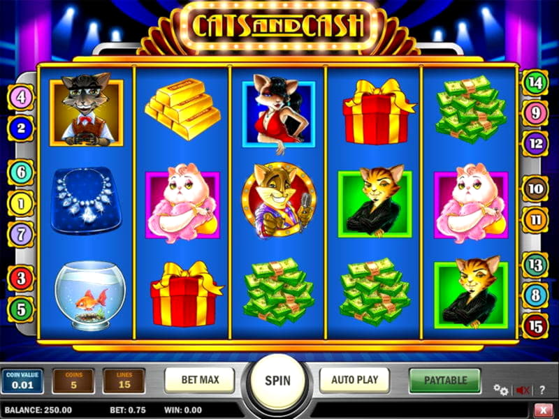 €505 Tournament at Casino Cruise