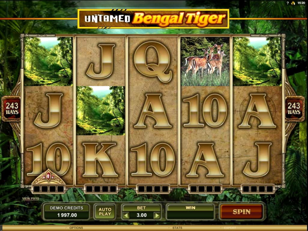 555% No Rules Bonus! at Emu Casino