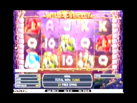 40 Free spins at Finland Casino 