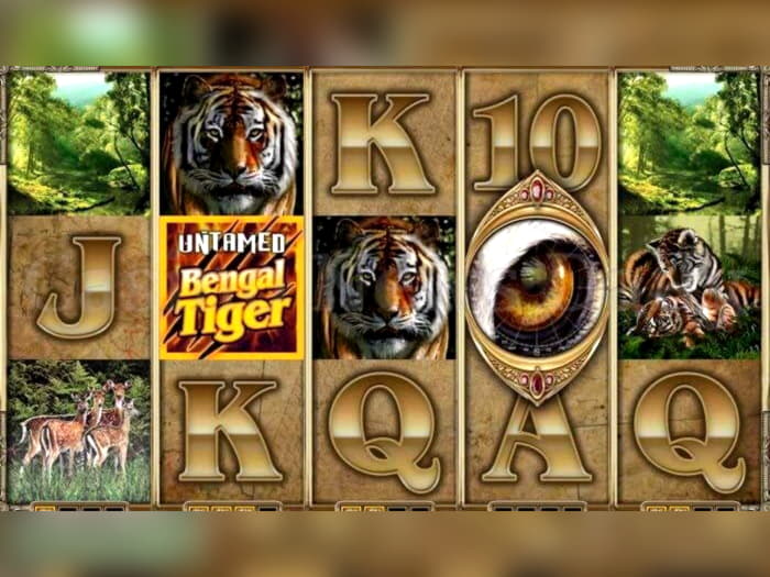 220 Free Spins Casino at Casino com