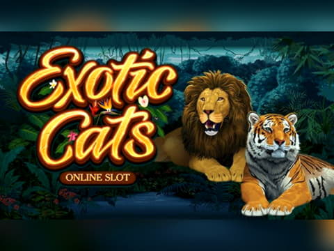 165 Free Spins right now at Superior Casino