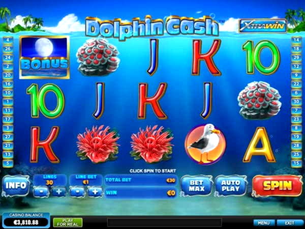 Eur 1655 no deposit bonus at Dubai Casino Online