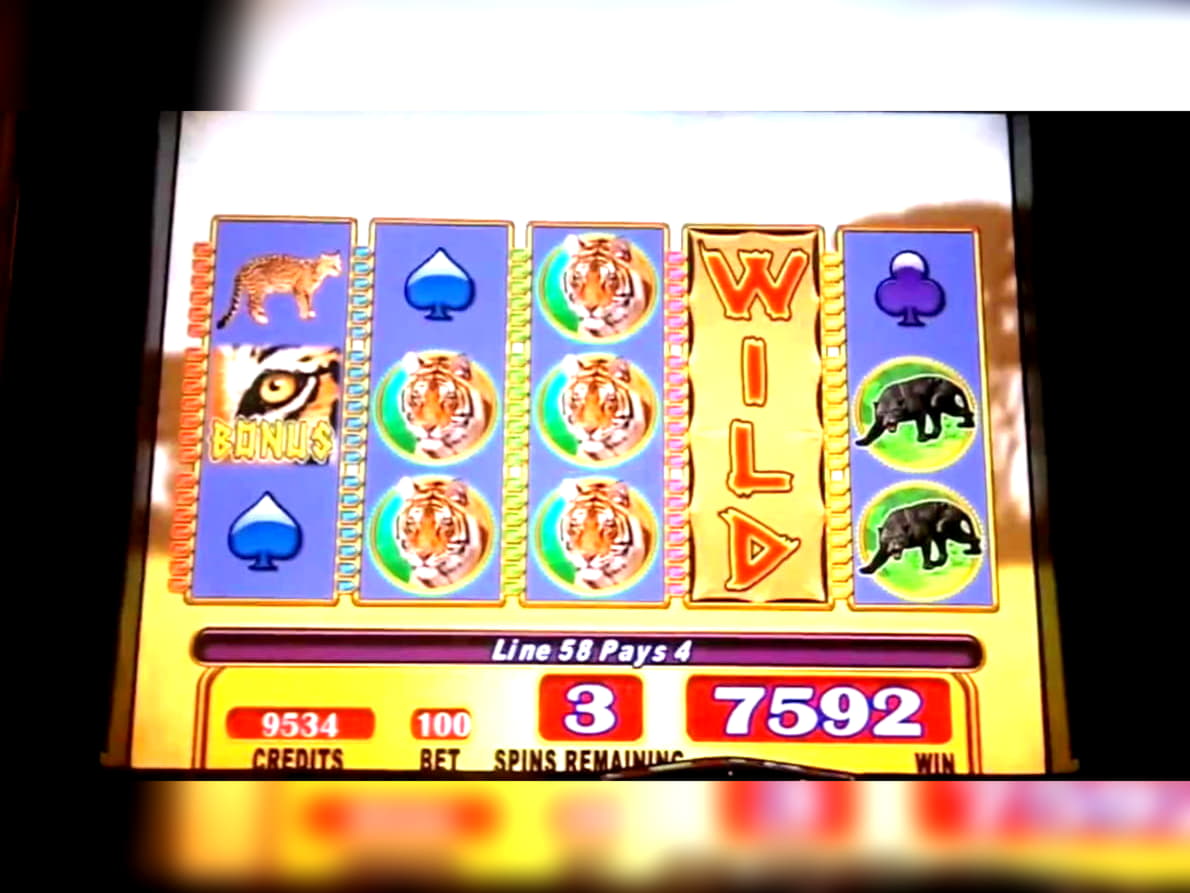 €540 Free Casino Ticket at Superior Casino