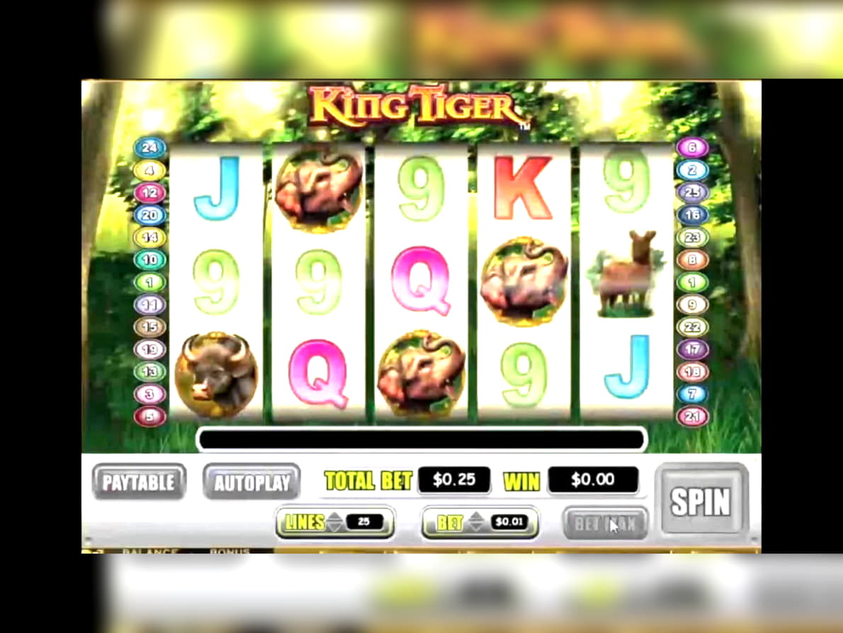 €315 Mobile freeroll slot tournament at Casino Cruise