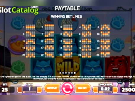 EURO 80 Free Money at Power Spins Casino