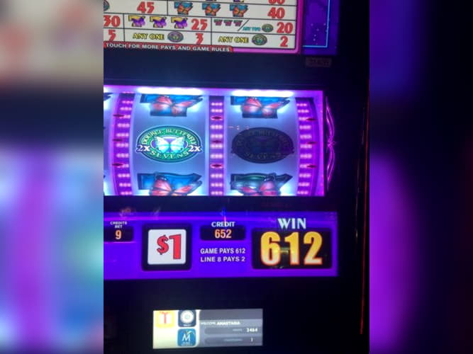 EUR 4305 no deposit at Royal Panda Casino