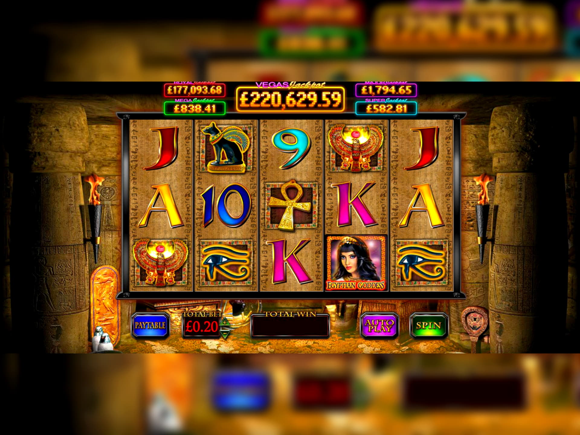 245 free spins no deposit at Miamidice Casino
