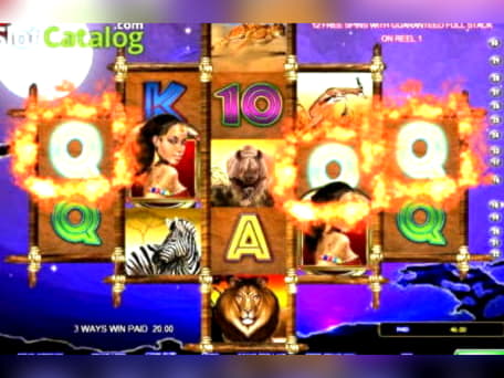 €345 FREE CHIP at Mobile Bet Casino