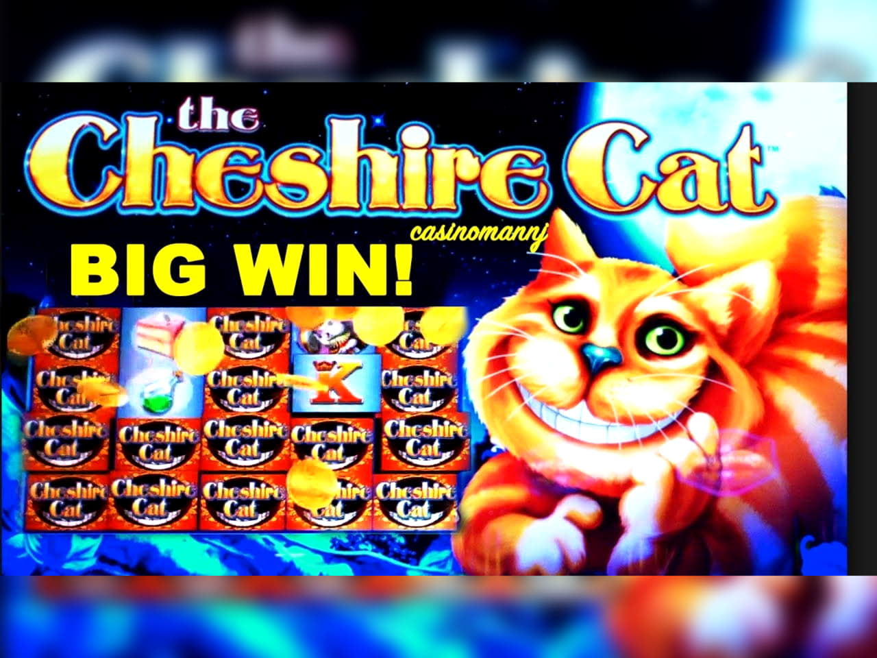 EURO 470 FREE CHIP at Royal Panda Casino