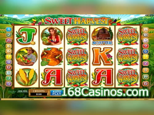$595 Free Money at Mansion Casino