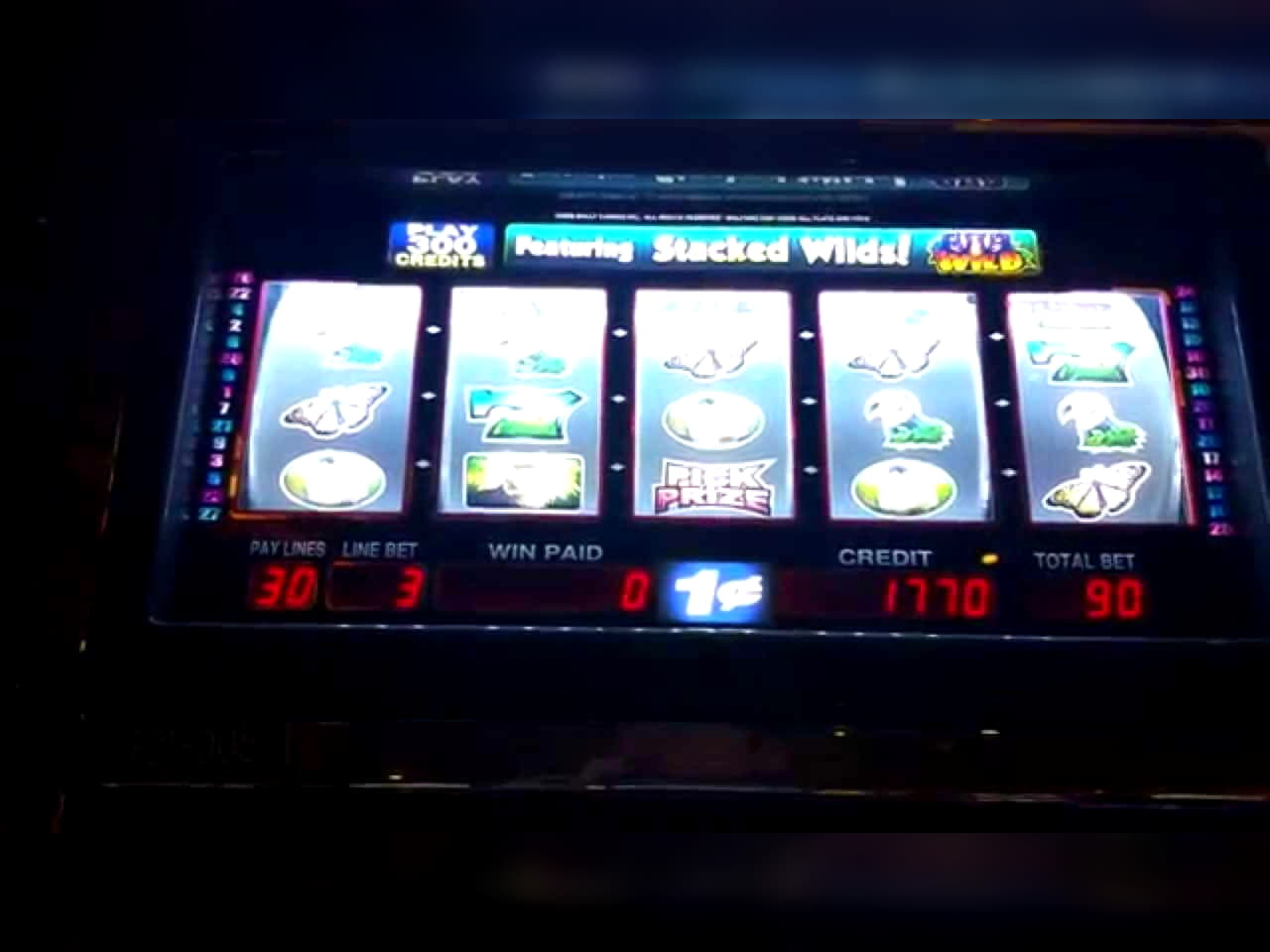 795% Match Bonus Casino at Zet Casino
