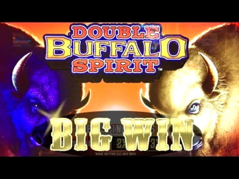 £2480 No Deposit at Mansion Casino