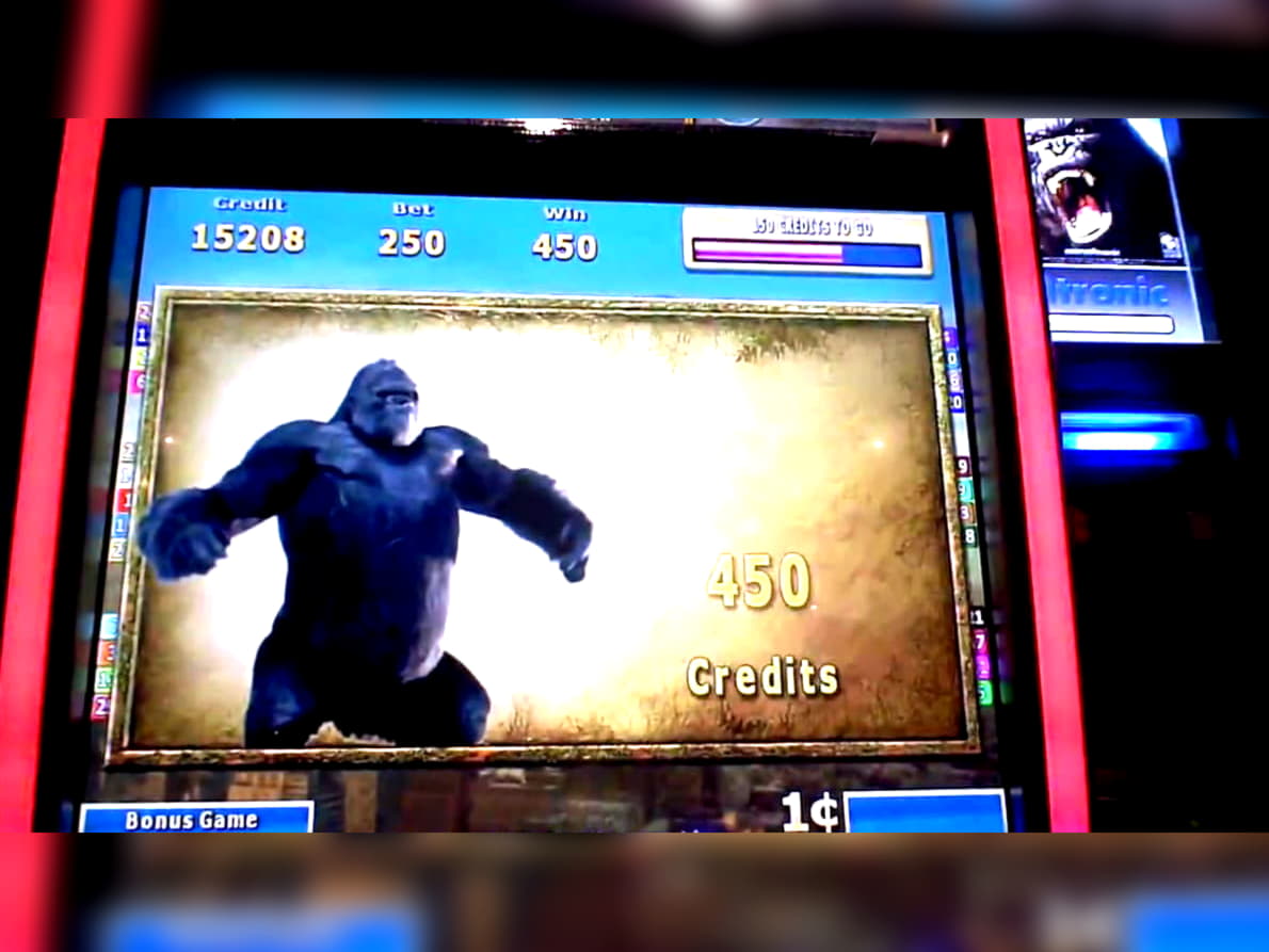$340 Daily freeroll slot tournament at Golden Star Casino