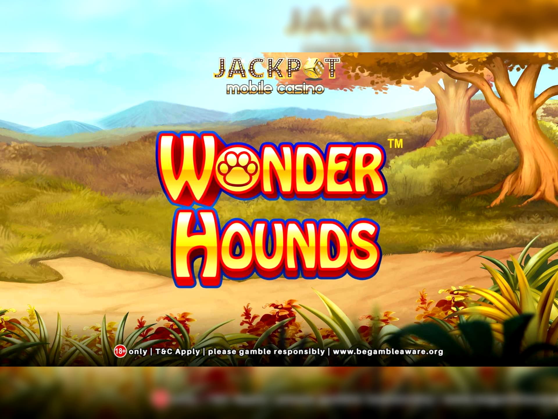 Eur 1130 no deposit at Win A Day Casino