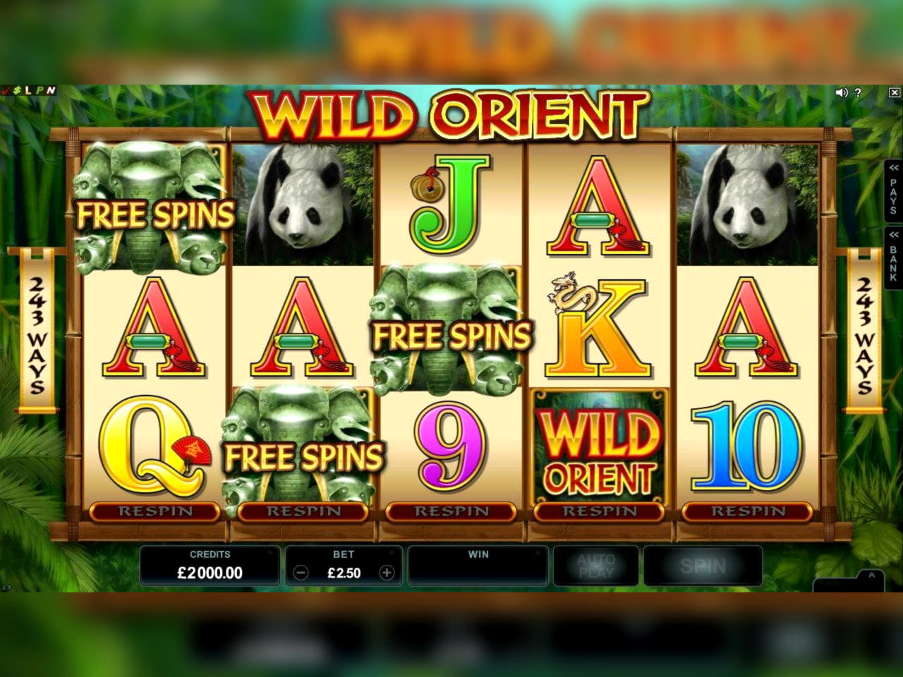 40 Free Spins no deposit at Casino Cruise