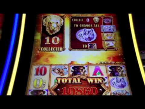 €825 Casino Tournament at Slots Million Casino