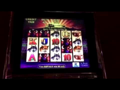 Eur 1540 No Deposit Bonus Casino at Casino Cruise