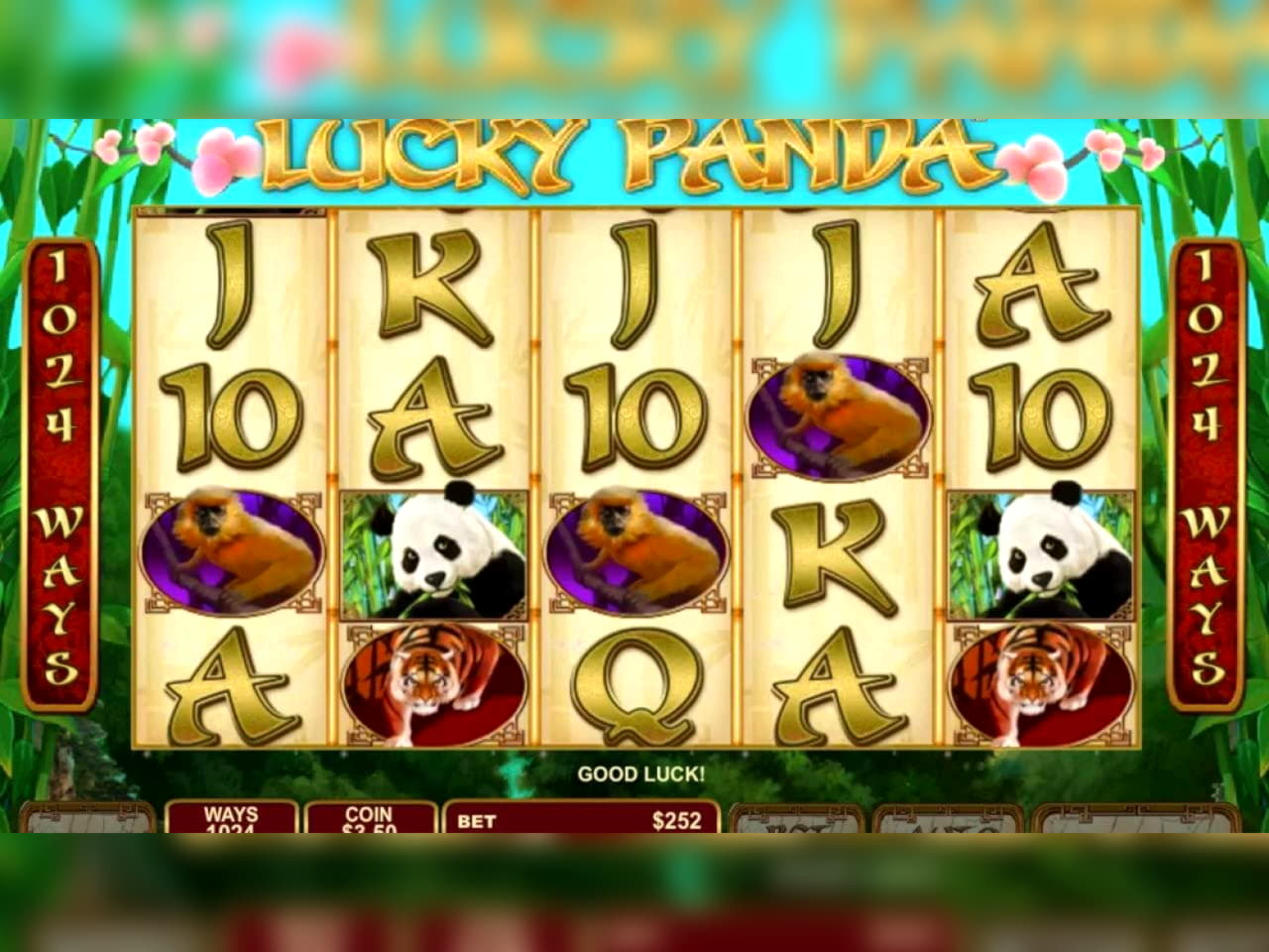 EUR 290 Free Casino Ticket at Red Stag Casino