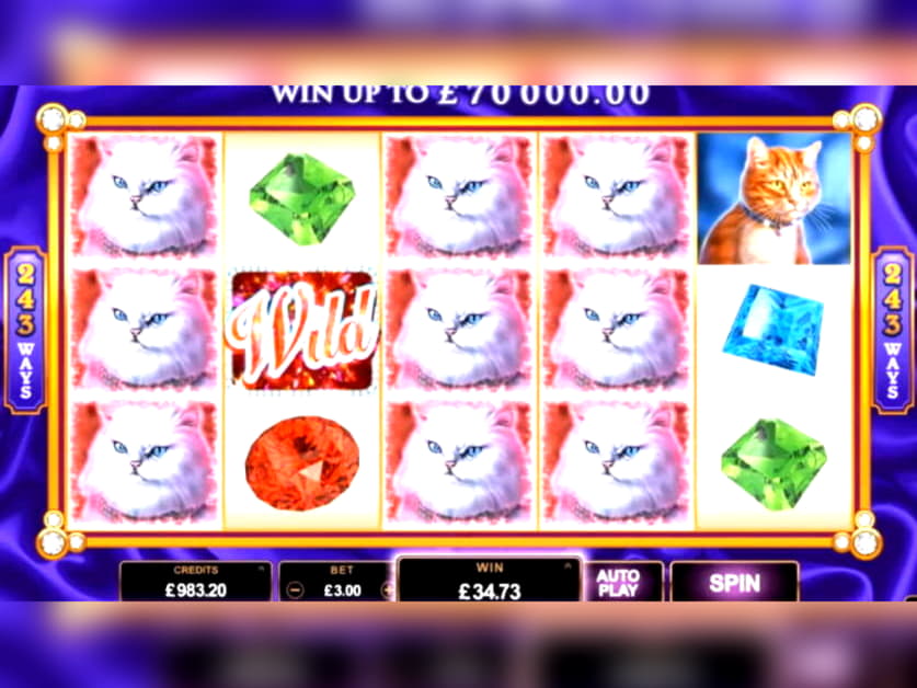 $80 FREE CHIP CASINO at Casino com