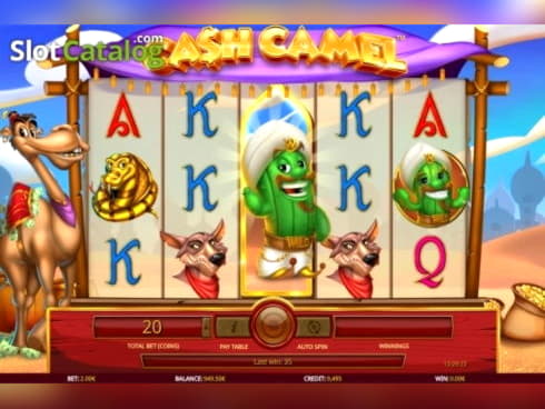 275 Free spins no deposit at Casino Cruise