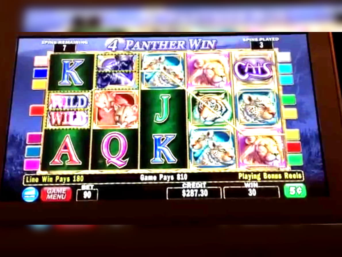 255 free casino spins at Win A Day Casino