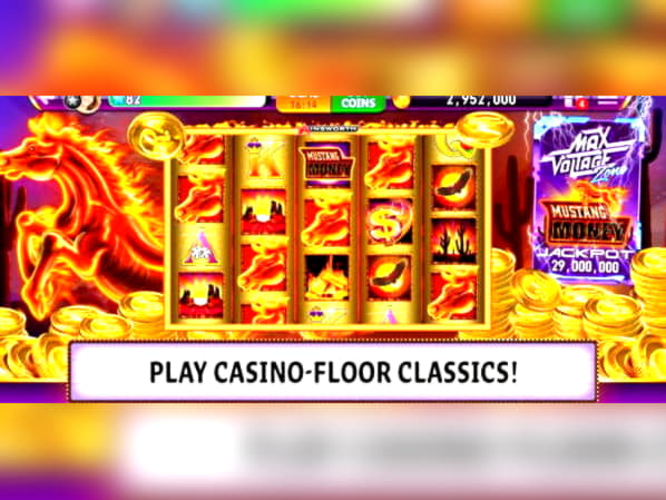 $75 Tournament at Dafa Bet Casino
