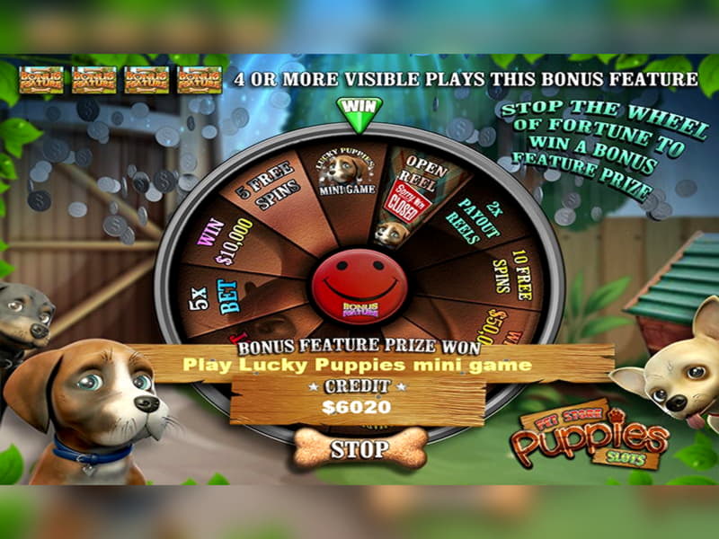 60 Free Spins at Estonia Casino 