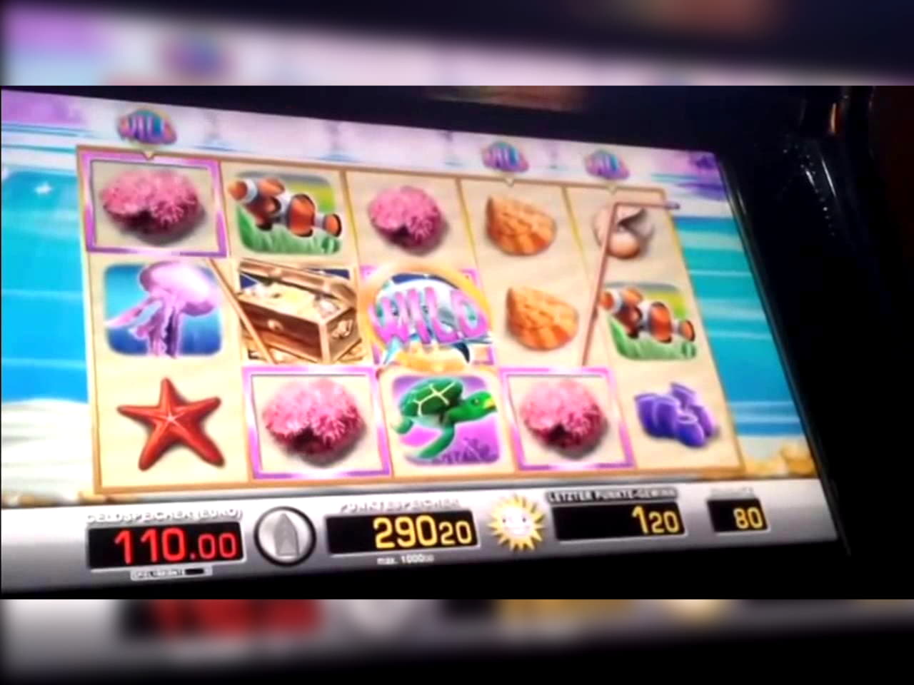 EURO 505 Daily freeroll slot tournament at Casino Cruise