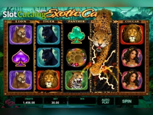 630% Casino Welcome Bonus at Dubai Casino Online