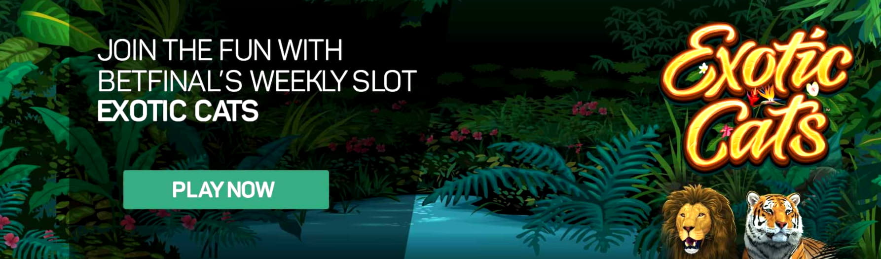 €88 FREE CHIP CASINO at Platinum Play Casino