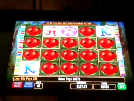 Eur 4210 No Deposit Bonus Casino at Lucky Nugget Casino