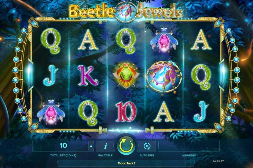 $65 Casino Tournament at XXX Casino 