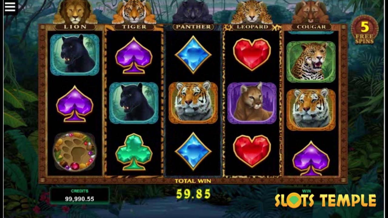 680% No Rules Bonus! at Ruby Fortune Casino