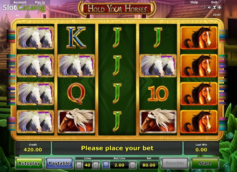 EUR 450 Daily freeroll slot tournament at Gaming Club Casino